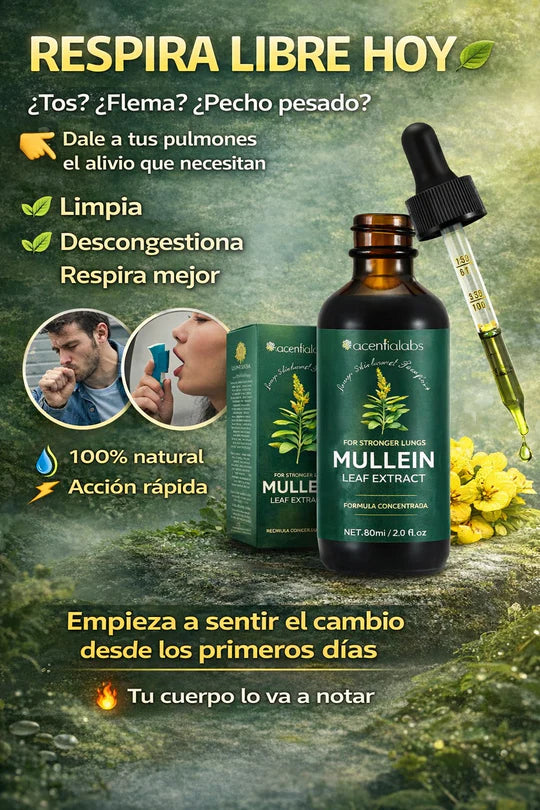 Extracto de Mullein alivia y limpia pulmones