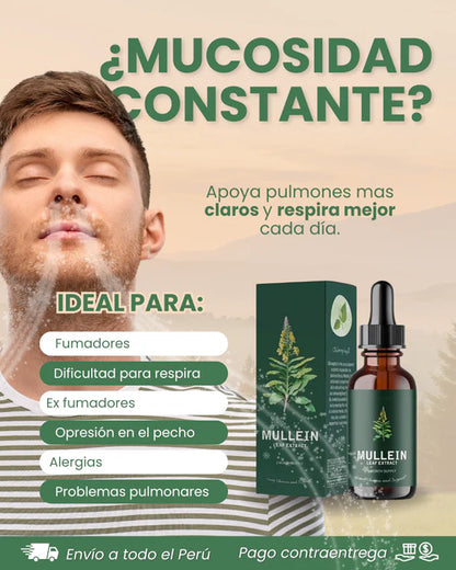 Extracto de Mullein alivia y limpia pulmones