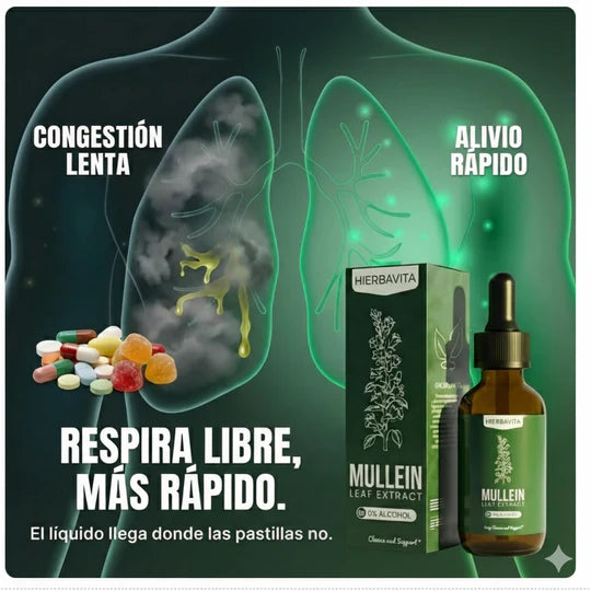 Extracto de Mullein alivia y limpia pulmones