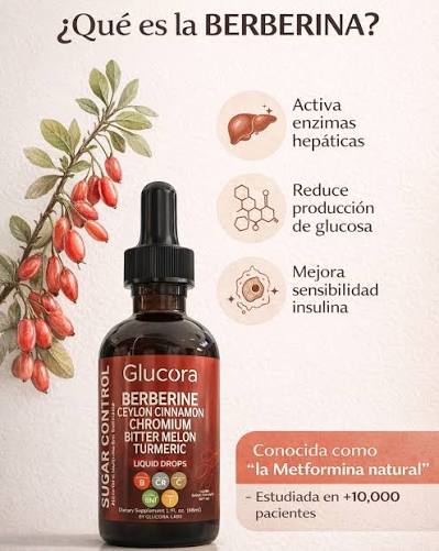 Glucora - Controla tus niveles de Azúcar